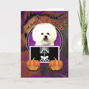 Halloween - bara ett Lil-talesätt - Bichon Frise Kort