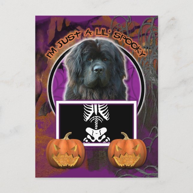 Halloween - Bara ett Lil-talesätt - Newfoundland Vykort (Framsida)