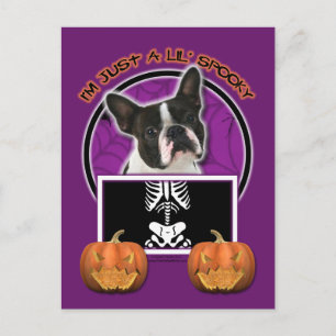 Halloween - Bara ett Lil-talesoky - Boston Terrier Vykort