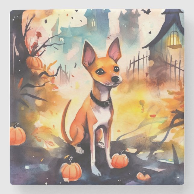 Halloween Basenji Med Pumpa Skräck  Stenunderlägg (Framsidan)