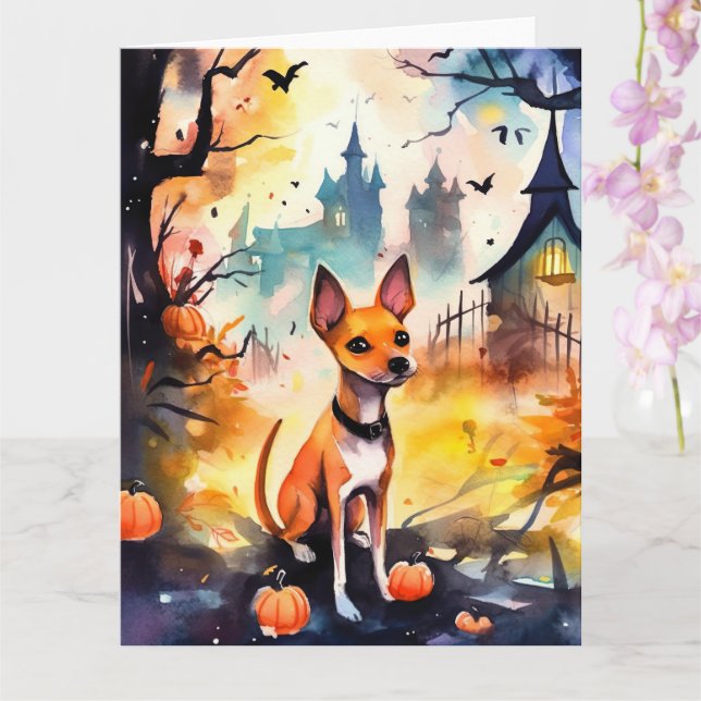 Halloween Basenji Med Pumpalekarier Otroligt  Kort (Orkide)