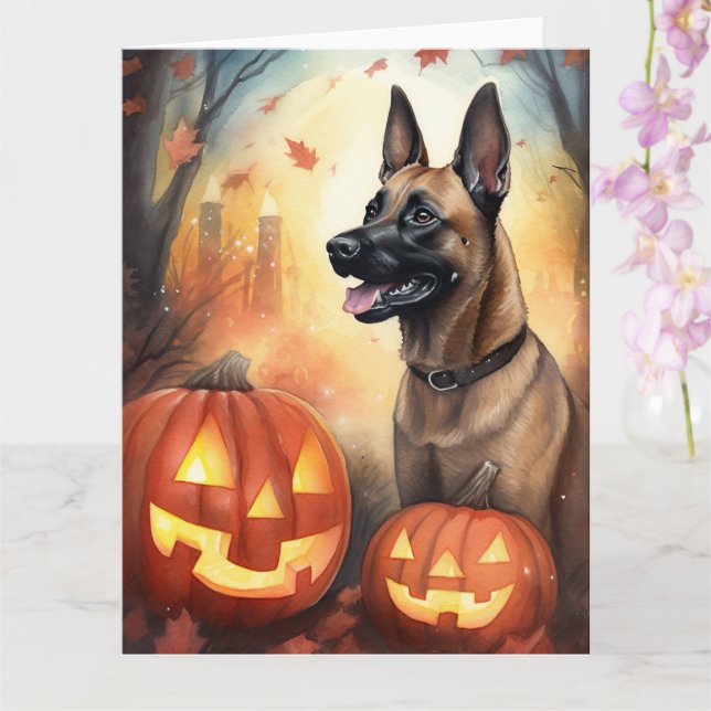 Halloween Belgisk Malinoi Med Pumpa Skräckinjagand Kort (Orkide)