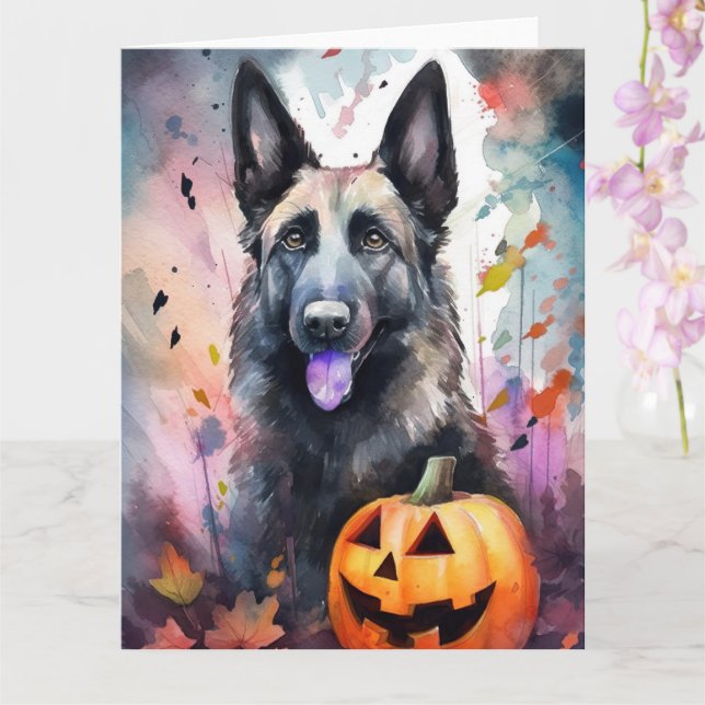 Halloween Belgisk Vallhund Med Pumpa Skräck Kort (Orkide)