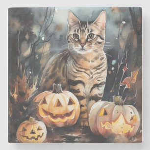 Halloween Bengal Katt Med Pumpa Skräckinjagande Stenunderlägg