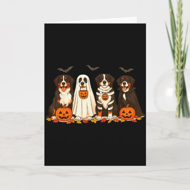 Halloween Berner Sennenhund Spöke Soky Berner  Kort (Framsida)