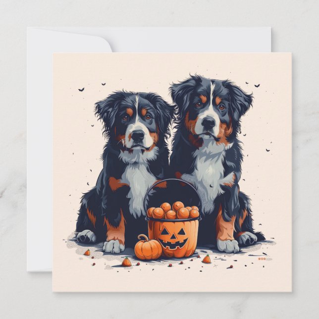 Halloween Bernese Mountain Hundar Pumpkin Inbjudningar (Framsida)