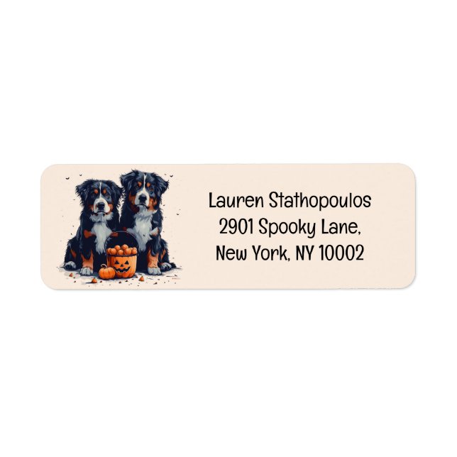 Halloween Bernese Mountain Hundar Pumpkin Returadress Etikett (Framsidan)