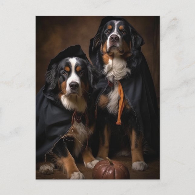 Halloween Bernese Mountain Hundar vykort (Framsida)