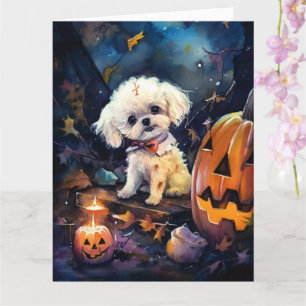 Halloween Bichon Frise Med Pumpa Skräck Kort