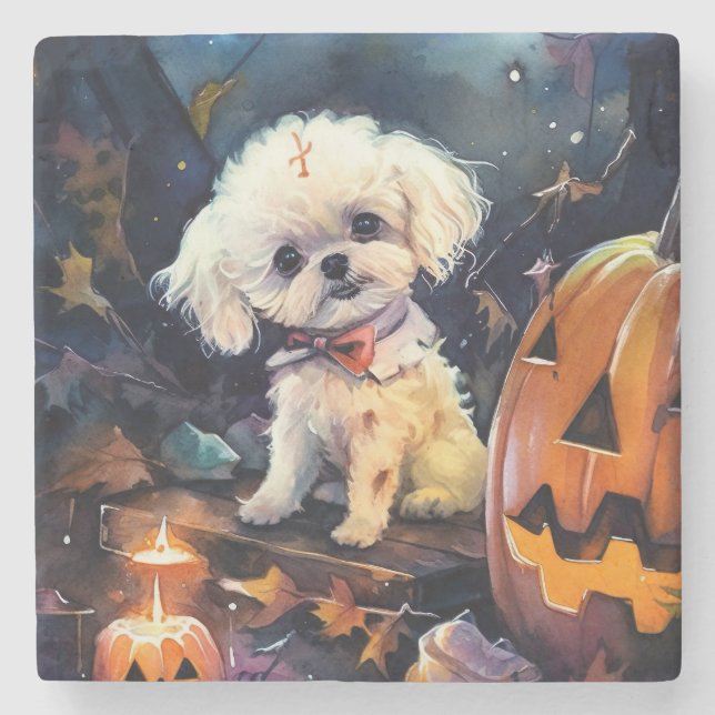 Halloween Bichon Frise Med Pumpa Skräckinjagande Stenunderlägg (Framsidan)