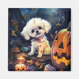 Halloween Bichon frise med pumpor Scary Magnet