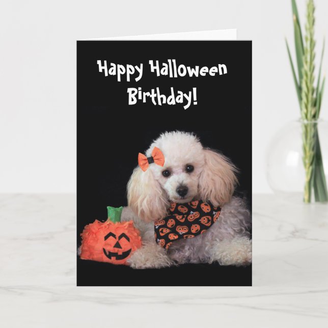 Halloween Birthday pudel hund kort (Framsida)