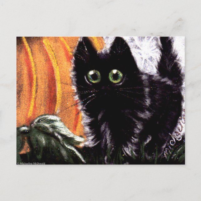 Halloween Black Cat Dat Scaredy Cat Postcard Vykort (Framsida)