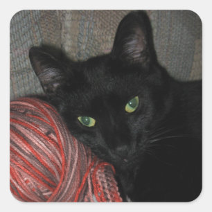 Halloween Black Cat Fyrkantigt Klistermärke