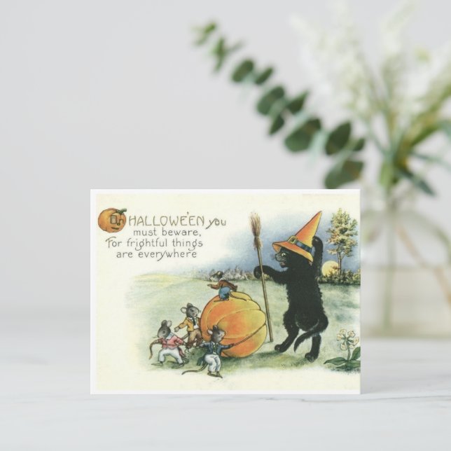 Halloween Black Cat Kitten Mice Mouse Postcard Vykort (Stående Fram)