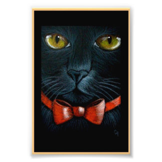 HALLOWEEN BLACK CAT med ORANGE BOW-UTskrift Fototryck