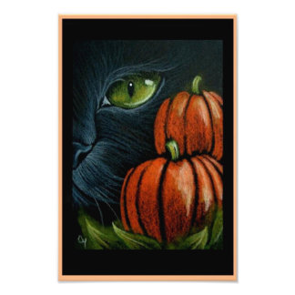 HALLOWEEN BLACK CAT MED PIMPKINS 4" X 6" UTSKRIV FOTOTRYCK