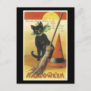 Halloween Black Cat och Fullmoon Vykort