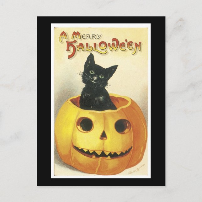 Halloween Black Cat och Pumpkin Vykort (Framsida)