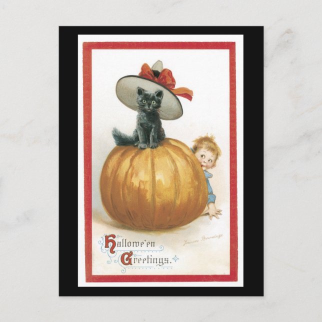 Halloween Black Cat och Pumpkin Vykort (Framsida)