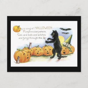 Halloween Black Cat och Pumpkin Vykort