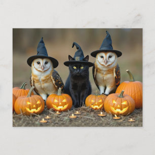 Halloween Black Cat och Uggla Cute Helg Vykort