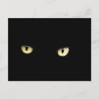 Halloween Black Cat Ögon vykort
