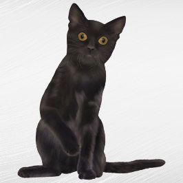 Halloween Black Cat Watercolor Klistermärken