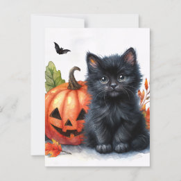 Halloween Black Kitten med Jack-o-lantern Vykort