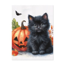 Halloween Black Kitten med Jack-o-lantern