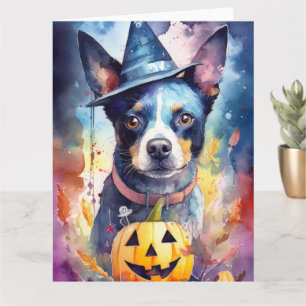 Halloween Blue Heeler Med Pumpa Skräck Kort
