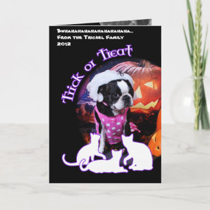 Halloween - Boston Terrier - Georgia Kort