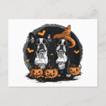 Halloween Boston Terrier Hundar