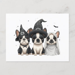 Halloween Boston Terrier Hundar Vykort