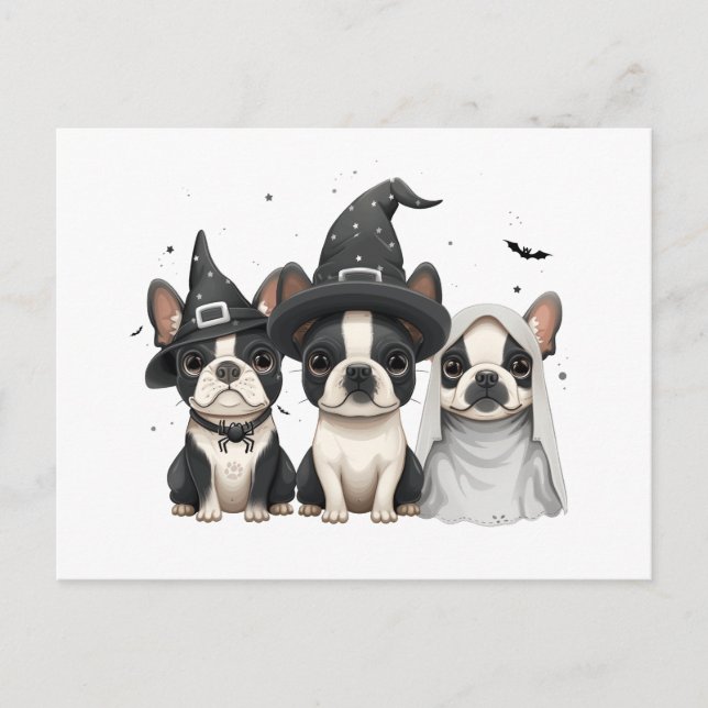 Halloween Boston Terrier Hundar Vykort (Framsida)