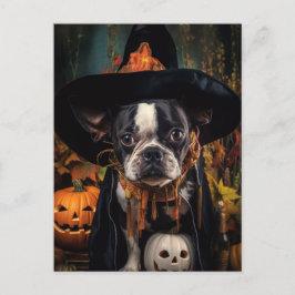 Halloween Boston Terrier-vykort Vykort