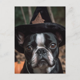 Halloween Boston Terrier-vykort Vykort