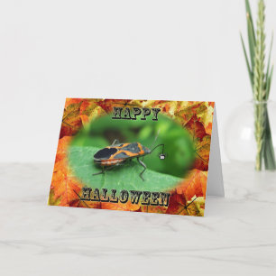 Halloween Box äldre Kryp-kort Kort