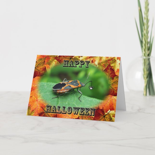 Halloween Box äldre Kryp-kort Kort (Framsida)