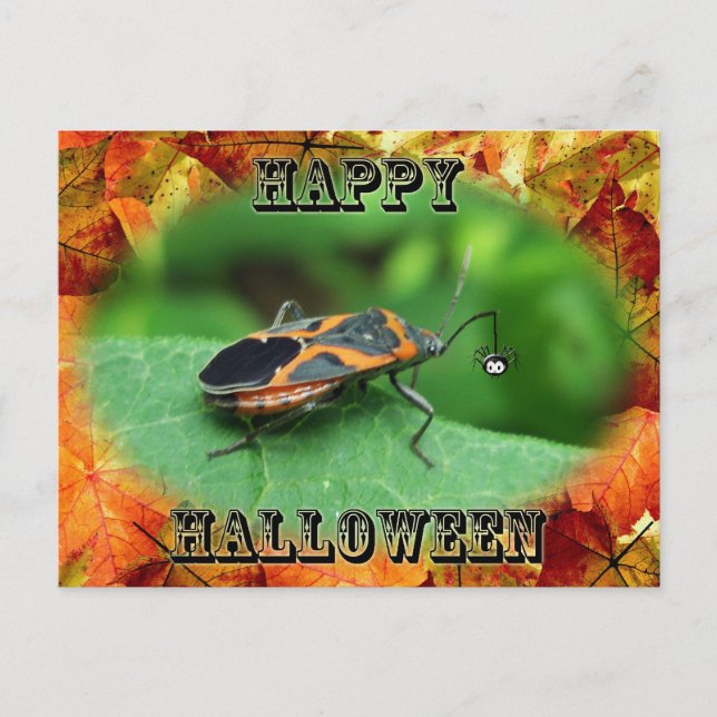 Halloween Box äldre samordningsobjekt i Kryp Vykort (Framsida)