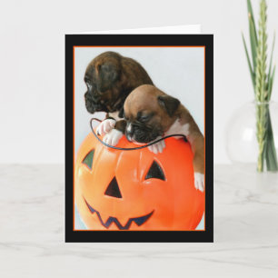 Halloween Boxer-hälsningskort Kort