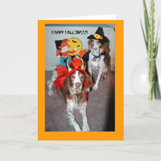 HALLOWEEN BRITTANYS KORT