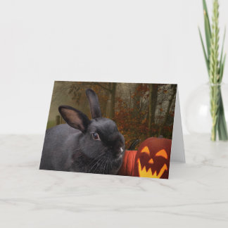 Halloween Bunny Helgkort