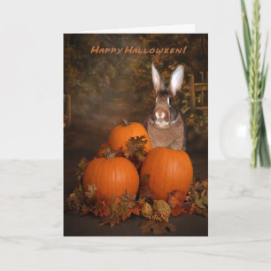 Halloween Bunny i Pumpkin Patch Kort