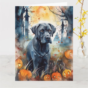 Halloween Cane Corso med pumpor läskig Kort