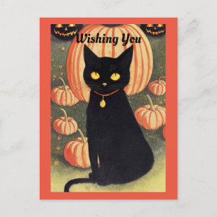 Halloween Cat Helgdag vykort