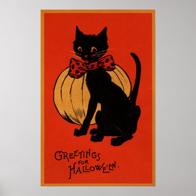 Halloween Cat och Pumpkin Poster (Framsidan)