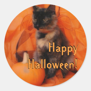 Halloween Cat Stickers Runt Klistermärke