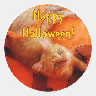 Halloween Cat Stickers Runt Klistermärke