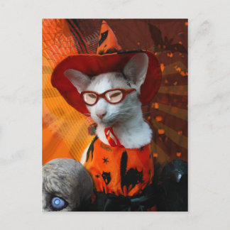 Halloween Cat Vykort